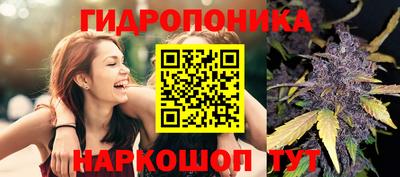 кокс Новозыбков