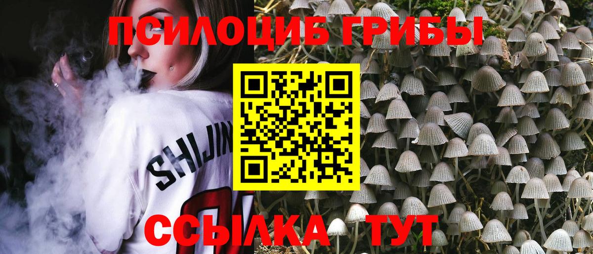 Псилоцибиновые грибы GOLDEN TEACHER Александров
