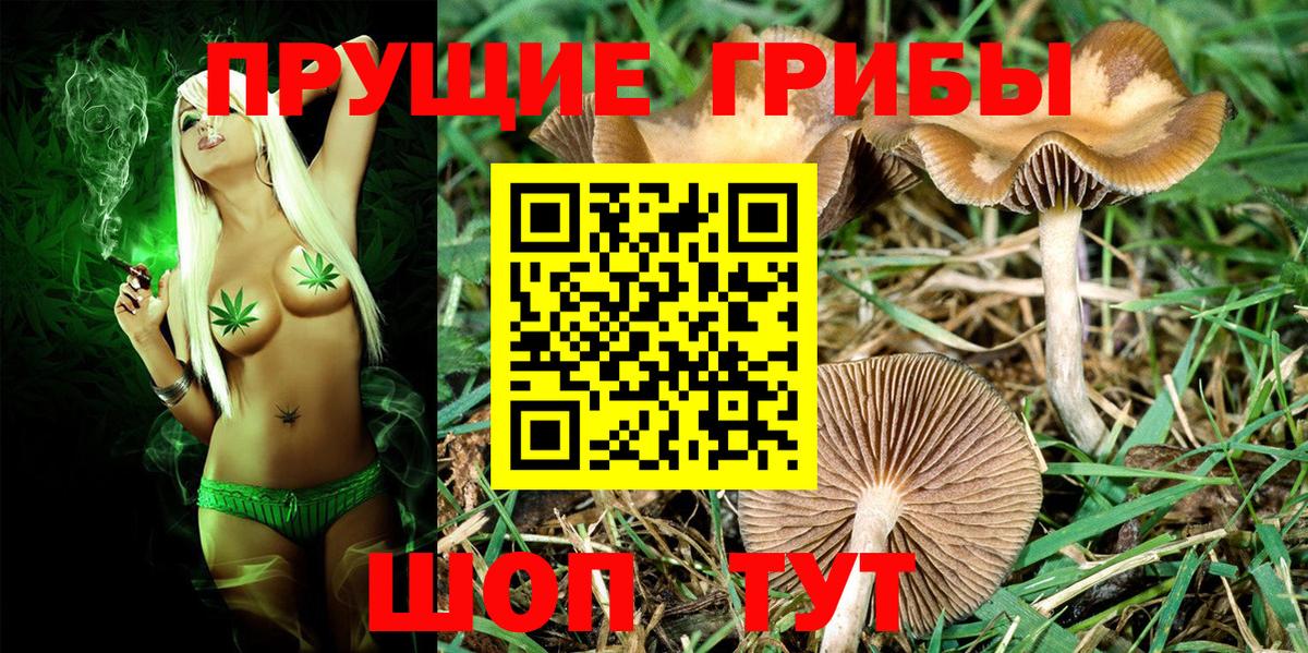 Галлюциногенные грибы ЛСД  Вход с VPN  купить наркотик  Александров 